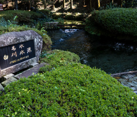 Shirakawa suigen, a famous freshwater spring in Aso (Kyushu, Kumamoto prefecture)