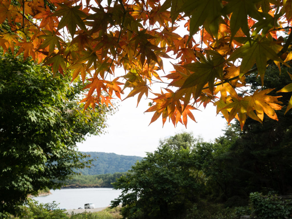 Осень на озере Сайко (Пять Озёр Фудзи)