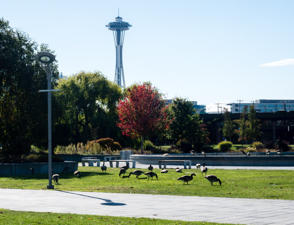 Seattle Space Needle, view form Lake Union Park