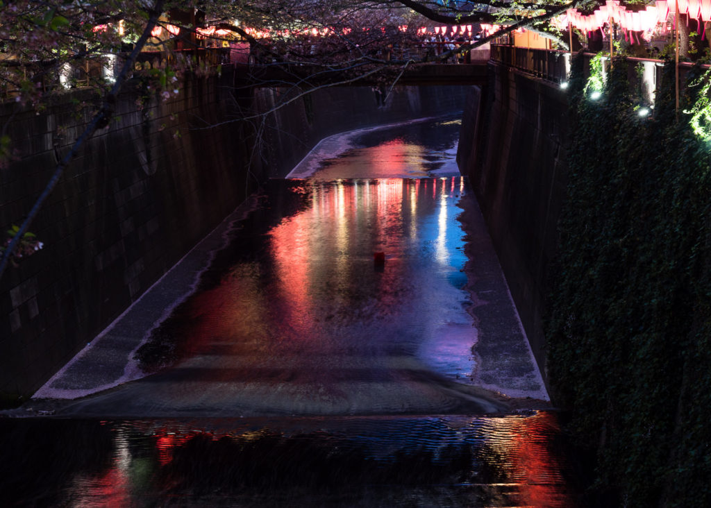 Вечерняя подсветка на реке Мэгуро в Токио во время цветения сакур
