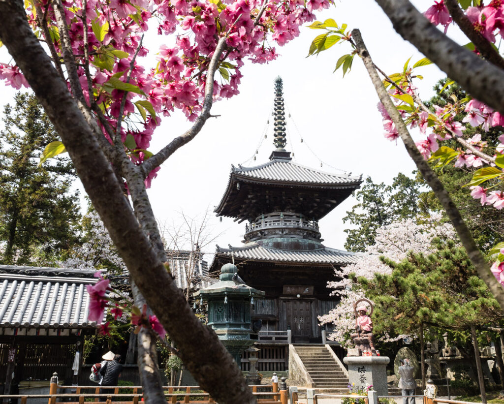 Весна в Рёдзэндзи, храме номер 1 паломничества Сикоку-хэнро