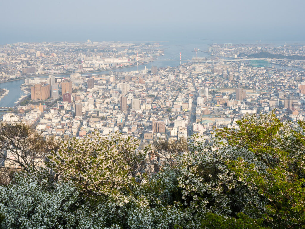 Вид на город Токусима с вершины горы Бидзан