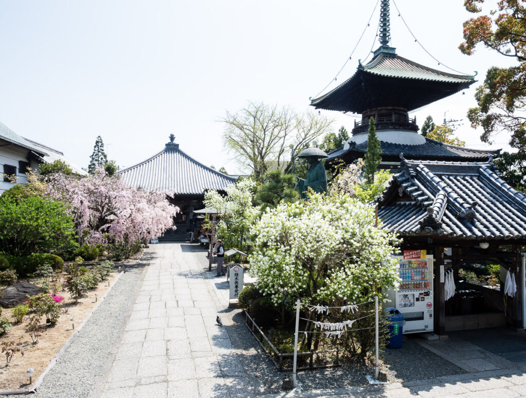 Весна в Тацуэдзи, храме номер 19 паломничества Сикоку-хэнро
