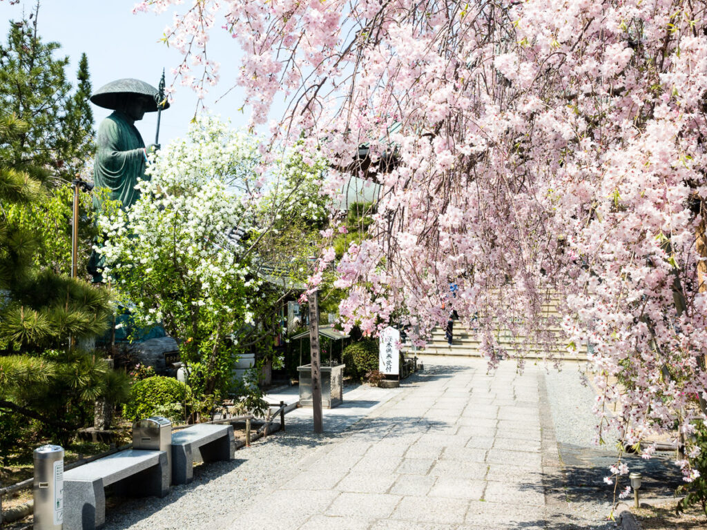 Весна в Тацуэдзи, храме номер 19 паломничества Сикоку-хэнро