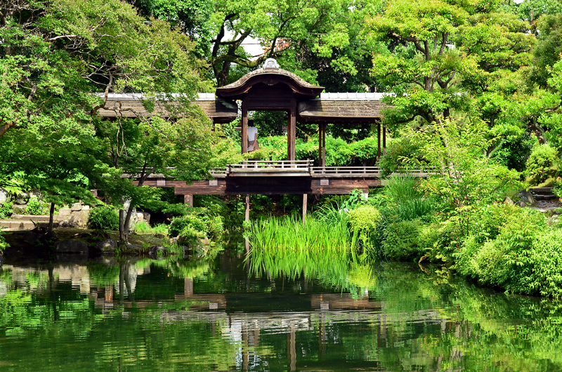 Лето в саду Сёсэй-эн - Киото, Япония