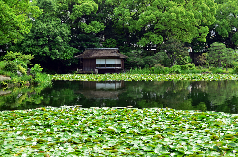 Пруд в саду Сёсэй-эн - Киото, Япония