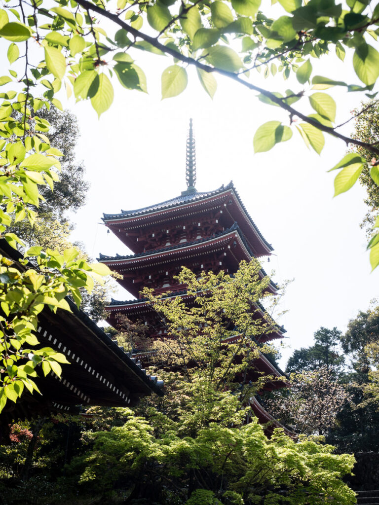 Пагода храма Тикуриндзи в городе Коти - префектура Коти, остров Сикоку, Япония
