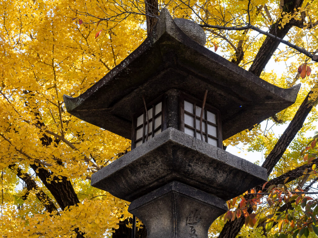 Осень в святилище Тоёкуни - Киото, Япония.