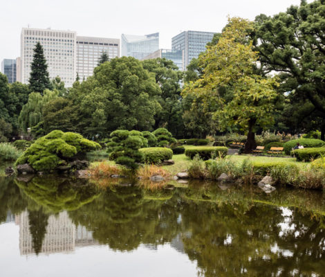 Парк Хибия в Токио